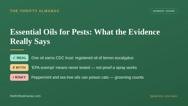 Essential Oils for Pests: What the Evidence Really Says