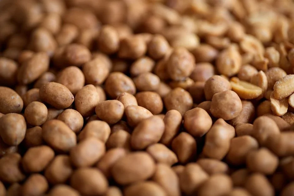 Roasted peanuts turning into smooth peanut butter inside a food processor bowl, oil starting to release