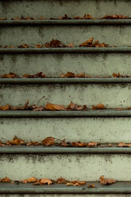 Step 3: Set slow bait — and get the strength RIGHT