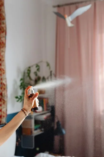 Treating once with a spray — there's no residual, so they come back. Blasting steam with strong airflow, which scatters bugs instead of killing them. 