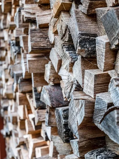firewood stacked on a raised metal rack a foot off the ground beside a tidy backyard fence