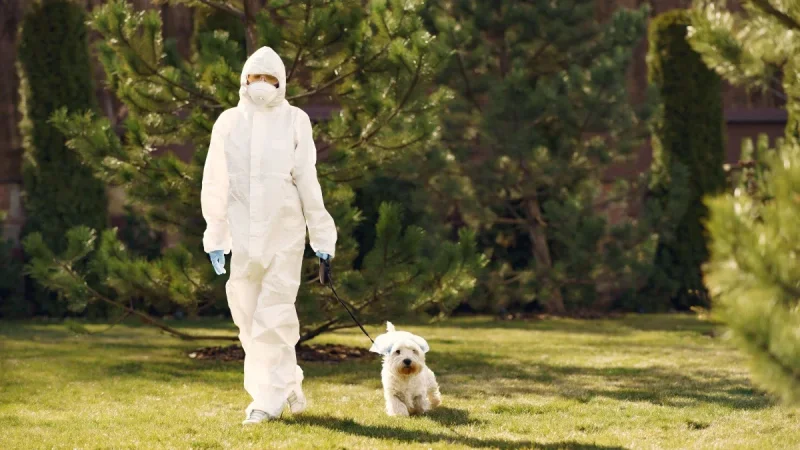How to Protect Your Dog From Ticks: Checks, Yard, and Prevention