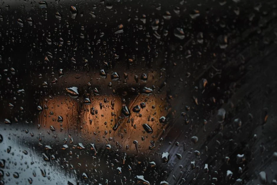 Close-up of a wet cartridge razor covered in water droplets left sitting on a shower shelf next to soap