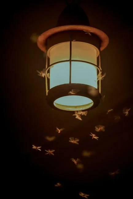 Electric bug zapper glowing purple at night surrounded by moths and beetles on a backyard patio
