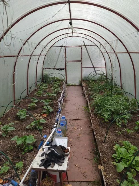 WHAT: a wicking or self-watering bed holds a reservoir at the bottom and lets soil pull moisture upward. The failure people run into is a permanently 