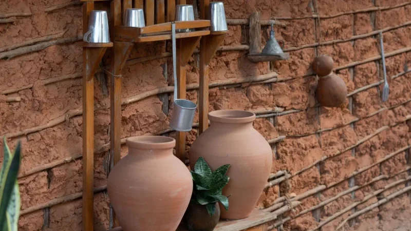 Olla Watering Actually Works — But Not the Way the Videos Promise