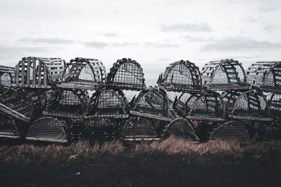 Choose traps with a wide trigger plate — they catch better — and set the trigger lightly so it springs easily. Bait with a small dab of peanut butter,