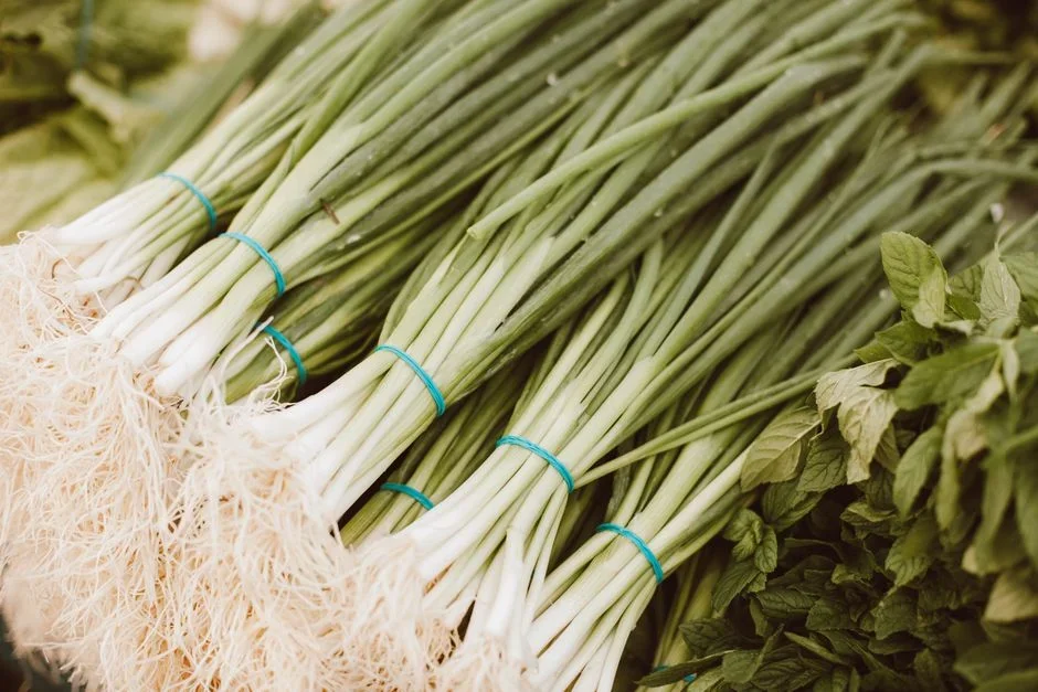 WHY it works: A scallion's white base is a living bulb with stored energy and roots ready to push new leaves. A potato eye is a dormant bud — plant it