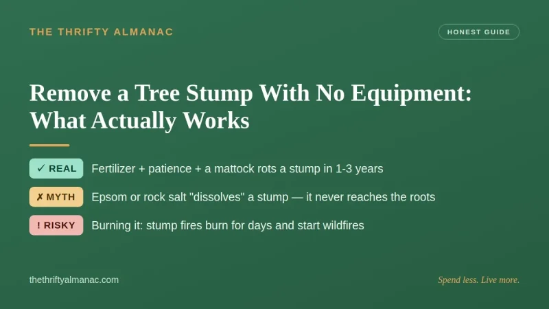 Remove a Tree Stump With No Equipment: What Actually Works