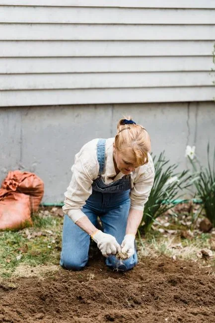Gardener kneeling on a lawn filling a small soil sample bag with a hand trowel for a university extension laboratory soil test