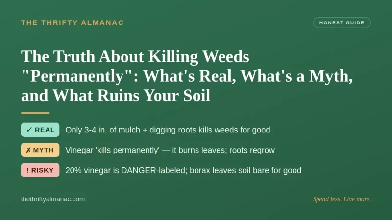 The Truth About Killing Weeds "Permanently": What's Real, What's a Myth, and What Ruins Your Soil