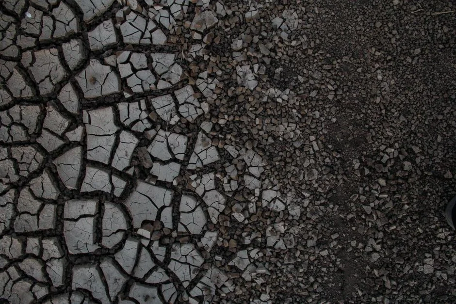 Cracked and crumbling thin concrete stepping stone lying on grass with a broken corner