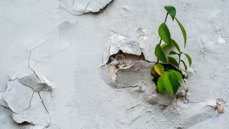 Water Glass for Concrete Cracks: Densify vs. Seal vs. Waterproof (The Honest Truth)