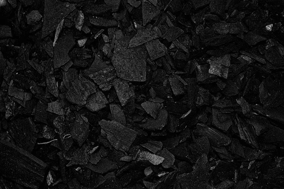 Side by side comparison of rough black campfire charcoal chunks on newspaper next to uniform commercial activated carbon granules in a glass jar