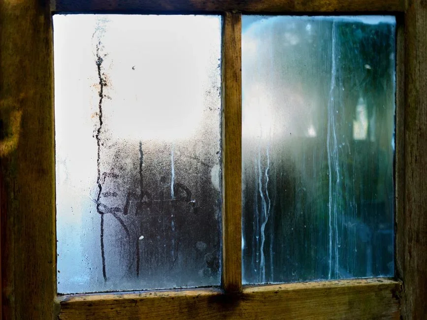 Black mold spots spreading along the painted bottom edge of a bedroom window frame with condensation beading on the cold glass above