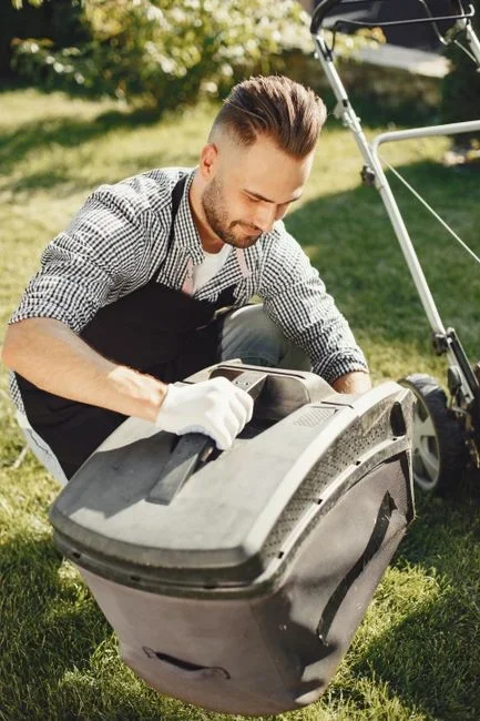 Homeowner kneeling on a lawn parting green grass blades with fingers to count small caterpillars on the soil surface