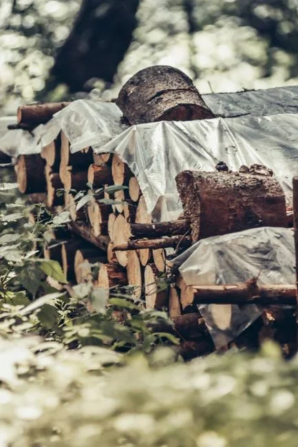 Neat stack of split firewood raised on wooden pallets several feet from house siding, only the top covered with a tarp and the sides left open to airflow