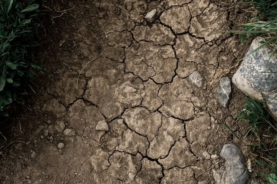 Wide gap in dry cracked clay soil pulling away from the side of a concrete house foundation during summer drought