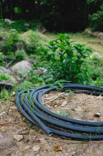 Black soaker hose laid in a line about two feet out from a house foundation on dry lawn soil