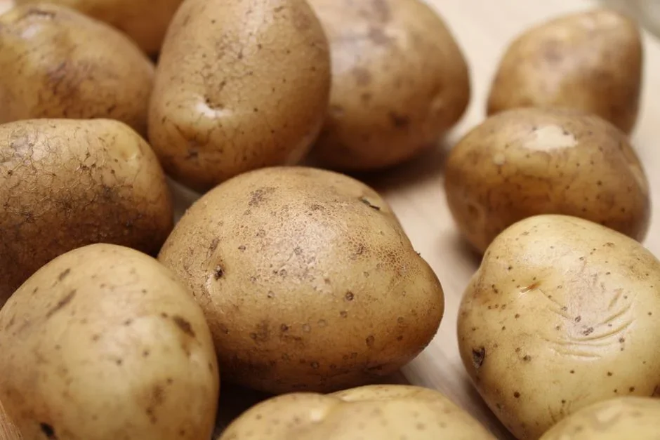 A large pile of raw russet potatoes on a wooden kitchen counter beside one small bowl of finished homemade potato chips, showing the low yield