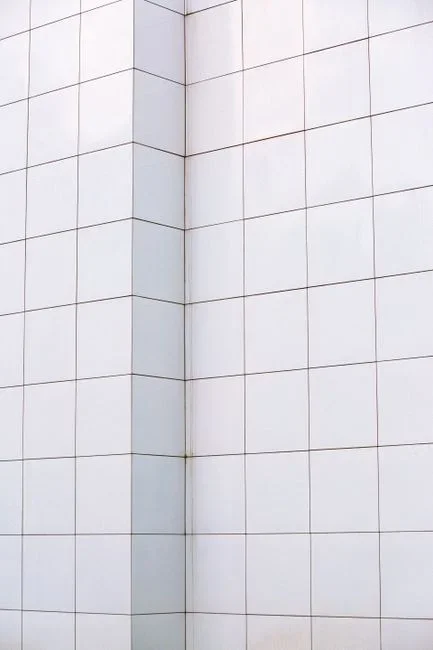 Close-up of a white ceramic tile shower wall with dark gray-black stained grout lines between clean tiles
