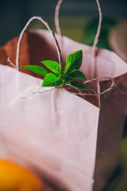 Small bundles of fresh basil hanging upside down inside brown paper bags with holes punched in the sides, tied to a wooden rod