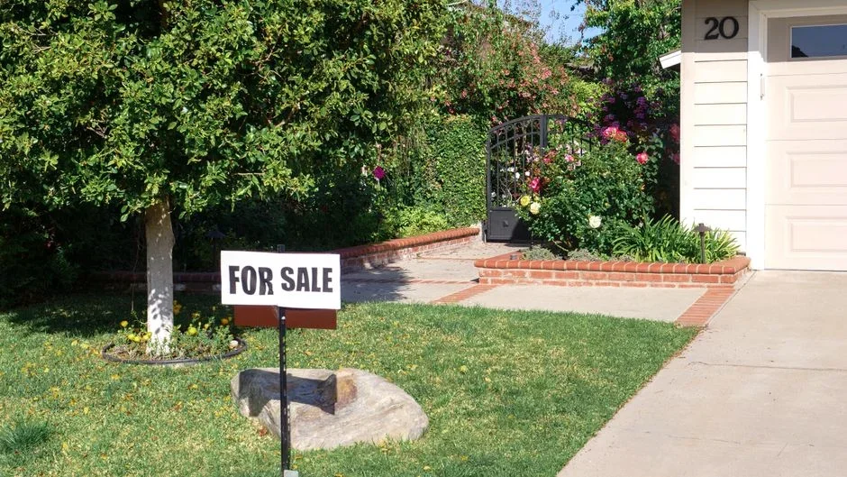 Bag of granular lawn grub control product and a spreader sitting on a driveway beside a green lawn