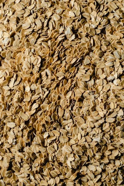 Close-up of dry oatmeal in an opened cardboard box showing clumped grains matted together with fine silk webbing and small pale larvae