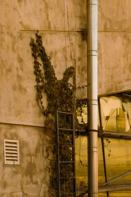 Torn metal screen on a gable end vent of a house viewed from a ladder