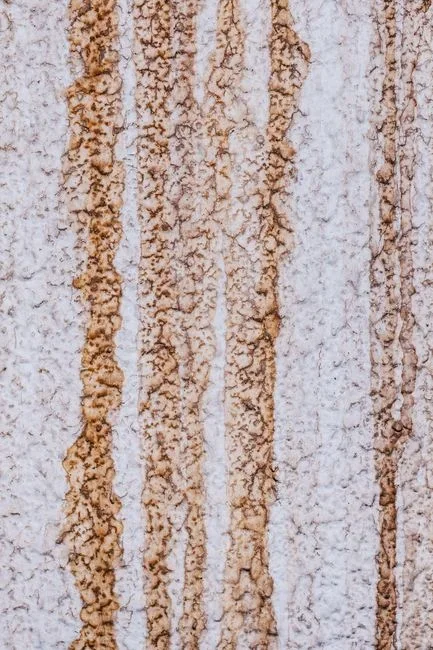 Close-up of a white toilet bowl interior showing a chalky gray mineral ring at the waterline and a rust-brown streak running down from under the rim